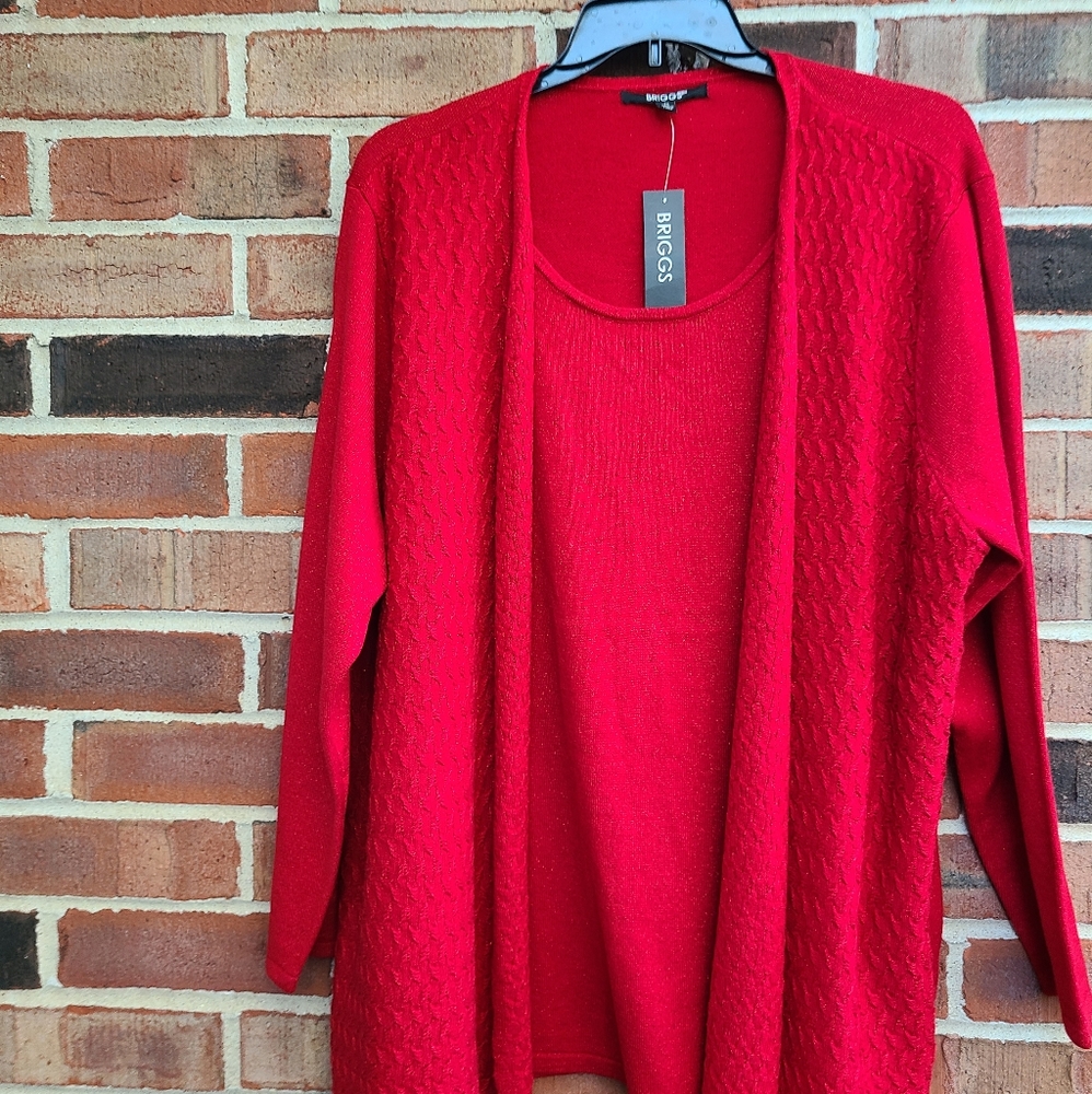 Briggs Red Metallic Sweater - Picture 1 of 9
